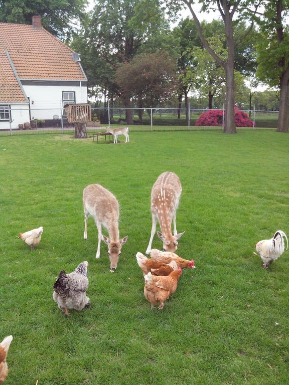 Ferienwohnung bed en breakfast westerwolde Sellingen Exterior foto