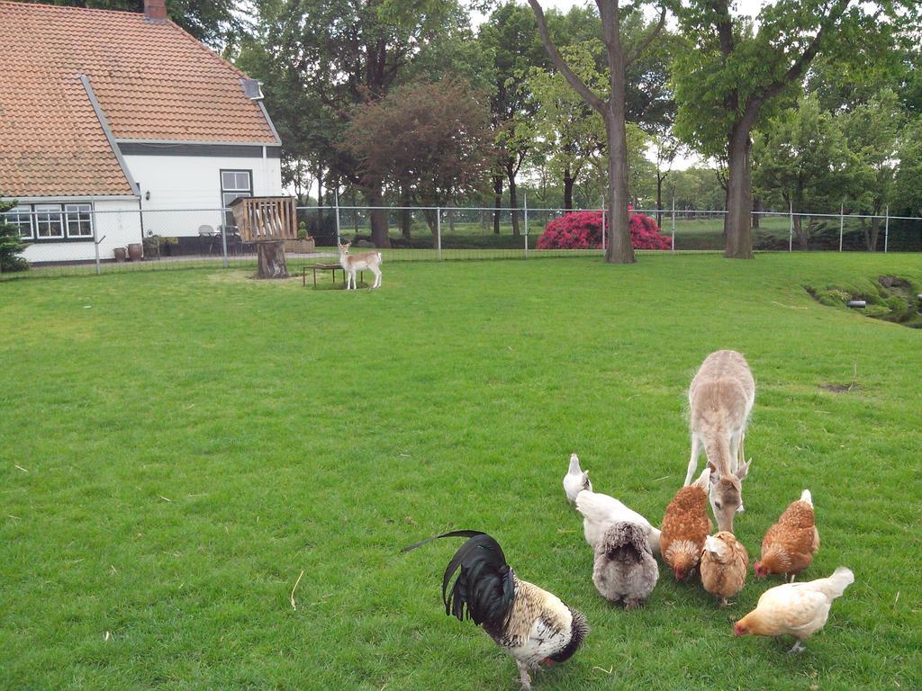 Ferienwohnung bed en breakfast westerwolde Sellingen Exterior foto